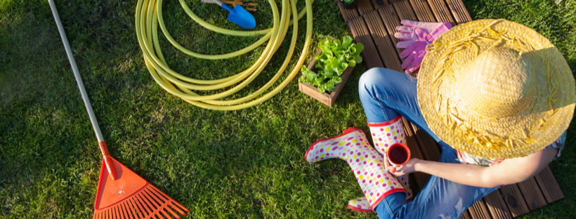  6 Things To Do In Your Backyard Garden This May