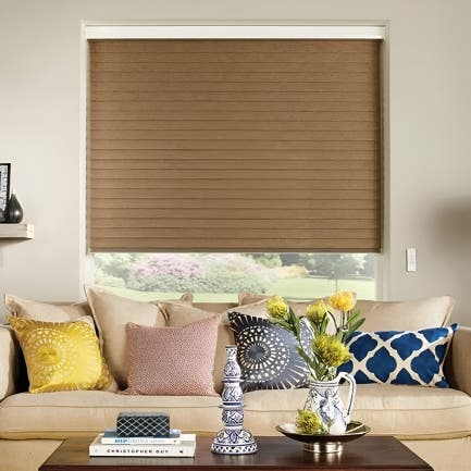 Natural Light Filtering Sheerlux Shade