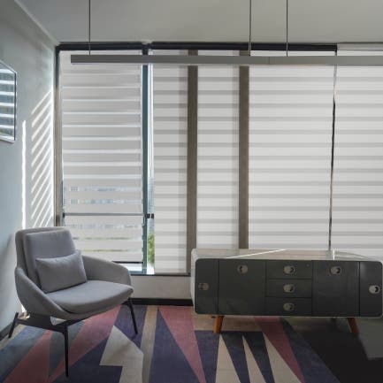 Vintage Zebra Shades