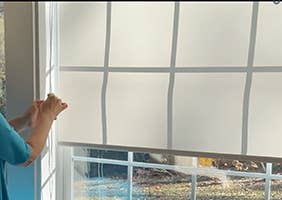 Filtering Roller Shades