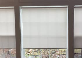 Light-Filtering Roller Shades